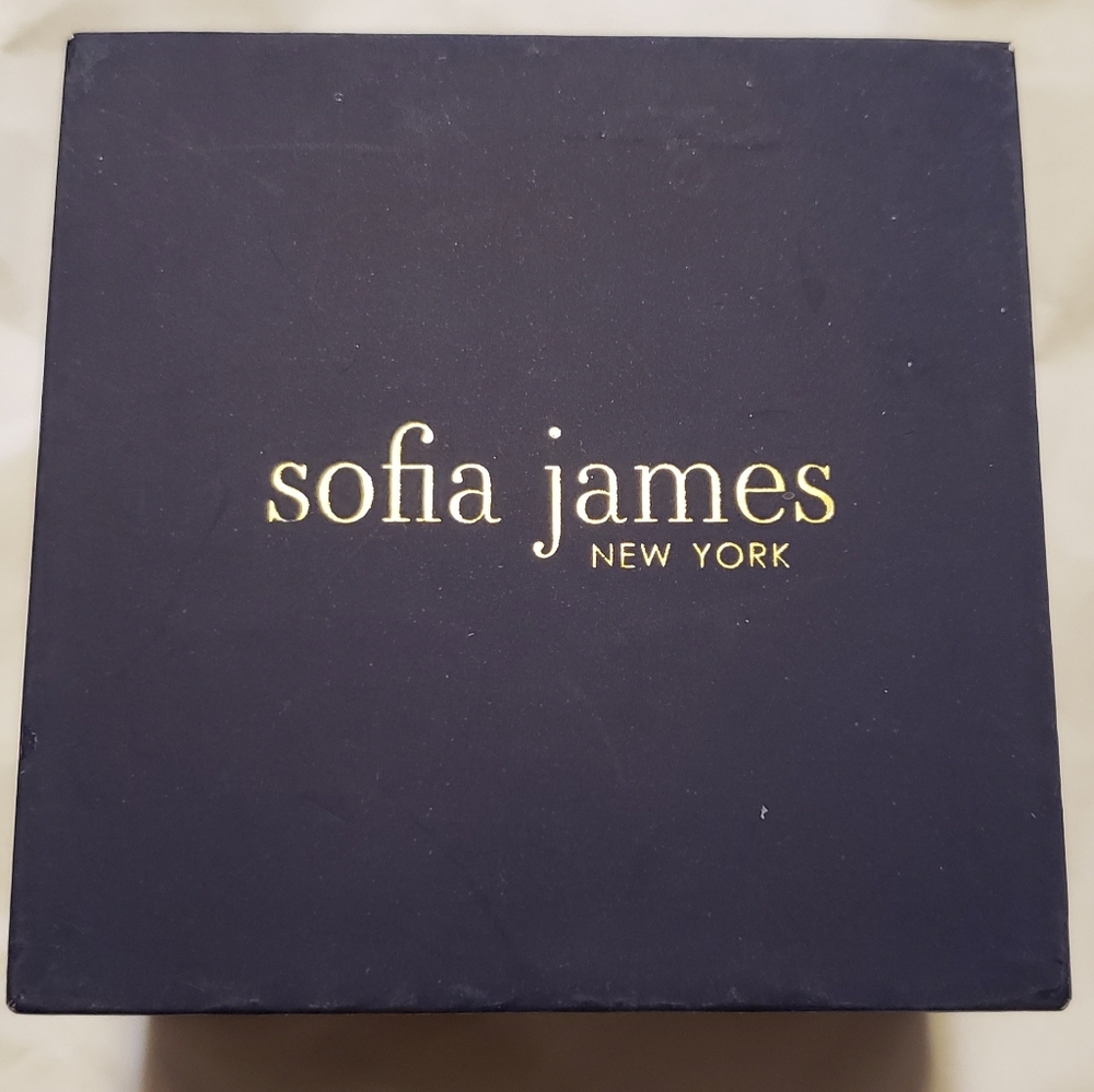 Sofia James silver plated oblong hoop earrings - Picture 2 of 7